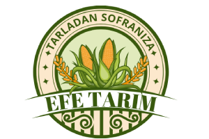 Kızıltepe Mısır | Efe Tarım Kızıltepe Efe Tarım